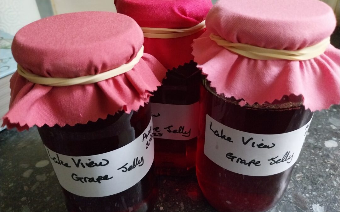 Growing a Greener Future: Our Green Agenda in Action